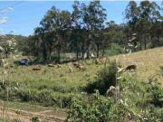 HERDADE DO tELHEIRO
