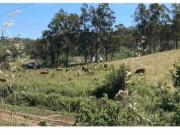 Herdade do Telheiro, Odemira, Beja