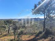 Herdade em Colos 38ha