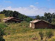 Herdade em são Luis