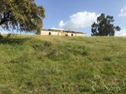Herdade em Vila Nova de São Bento com moradia para...
