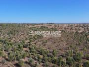 Herdade, Garvão e Santa Luzia, Ourique | BPI Expresso...