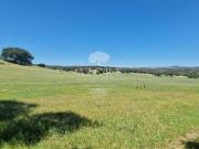 Herdade na Terrugem com 118 hectares