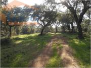 Herdade no Alentejo