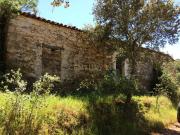 Quinta para Recuperação em São Martinho das Amoreiras,...