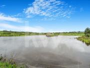 HERDADE Para Venda | Grândola | 228 hectares | Setúbal