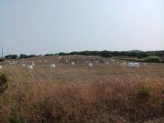 Herdade Raco de Baixo Cercal e São Luís