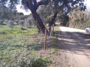 Herdade, Setúbal São Julião, Nossa Senhora Da Anunciada...