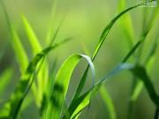 Héricourt en Caux 76560 Programme neuf terrain neuf à vendre