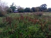 Héricourt en Caux Vente Terrain 76