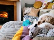 Hermitage Street, Cheltenham, 2 Bedroom Terraced