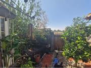 Hermosa casa con gran Patio y Árboles Frutales