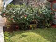 HERMOSA CASA CON PISCINA FRENTE A PARQUE EN LA MOLINA