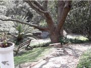 Hermosa Casa De 540 M2 Con Jardin De 165M2 Cumbaya Hermosa Casa De 540 M2 Con Jardin De 165M2 Cumbaya