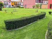 HERMOSA CASA EN CONDOMINIO CERCA DEL AEROPUERTO DE TOLUCA