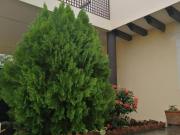 HERMOSA CASA EN CONKAL, YUCATÁN