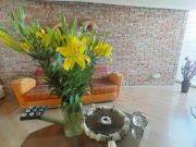 Hermosa casa en fracionamiento