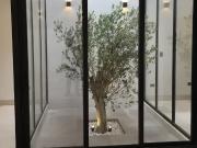 HERMOSA CASA EN LAS ISABELES!