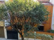 Bonita casa en Manuel López Cotilla, Col del Valle, CDMX