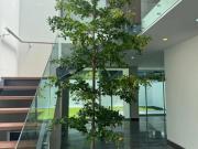 Hermosa Casa en Venta y Renta en Exclusivo Fracc Mítica...