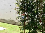 Hermosa casa independiente en venta en puembo