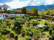 HERMOSA FINCA PRODUCTIVA UBICADA EN EL RETIRO ANTIOQUIA