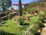 Hermosa Finca sector Florida Pereira