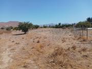 HERMOSA PARCELA 100% PLANA EN CURACAVI