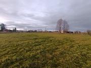 HERMOSA PARCELA A 12 MINUTOS DE OSORNO