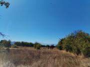 Hermosa parcela a 25 min de Talca