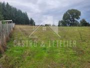 Hermosa Parcela A Minutos De Temuco Castro&letelier