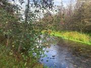 HERMOSA PARCELA CON ESTERO Y SALIDA A RÍO TOLTÉN