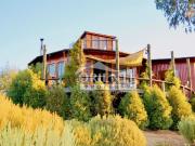 HERMOSA PARCELA DE AGRADO EN CUNCUMÉN