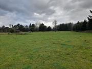 Hermosa parcela en Villarrica, Sector Ñancul