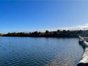 Hermosa Parcela Parque Lomas Del Sur Austral Partners