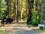 EN VENTA Hermosa parcela plana y con bosque a la vez