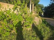 Hermosa Quinta, Ebtun. Valladolid, Yucatan