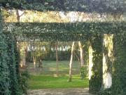 Hermosa Quinta equipada y amueblada en Los Lirios,...