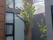 HERMOSA RESIDENCIA UBICADA EN ARTEAGA COAH 300 M2...