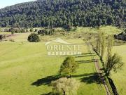 HERMOSAS PARCELAS A 20 MINUTOS DE CURACAUTIN HERMOSAS PARCELAS A 20 MINUTOS DE CURACAUTIN