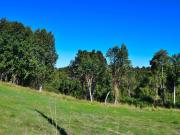 SE VENDE ! PARCELAS REBAJADAS, DESDE 19 A 29 MILLONES...