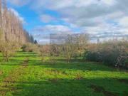 Hermosas parcelas con excelente ubicación en Región del...