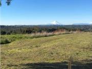 Hermosas Parcelas Con Vista A Volcanes Austral Partners