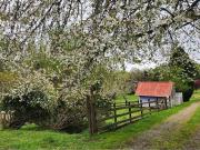 Hermosas Parcelas de agrado Sector Trinquicahuín
