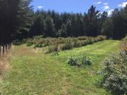 Hermosas parcelas en maravilloso condominio ecologico a...