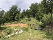 HERMOSAS PARCELAS EN PANQUI A 45 MIN DE PUCON