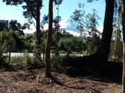 Hermosas Parcelas En Venta En Ensenada Puerto Varas