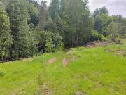 Hermosas parcelas sector Relún Villarrica