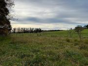 HERMOSO CAMPO 10 HECTAREAS EN SIERRA DE LOS PADRES. CASA...