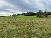 HERMOSO CAMPO 10 HECTAREAS EN SIERRA DE LOS PADRES. CASA...